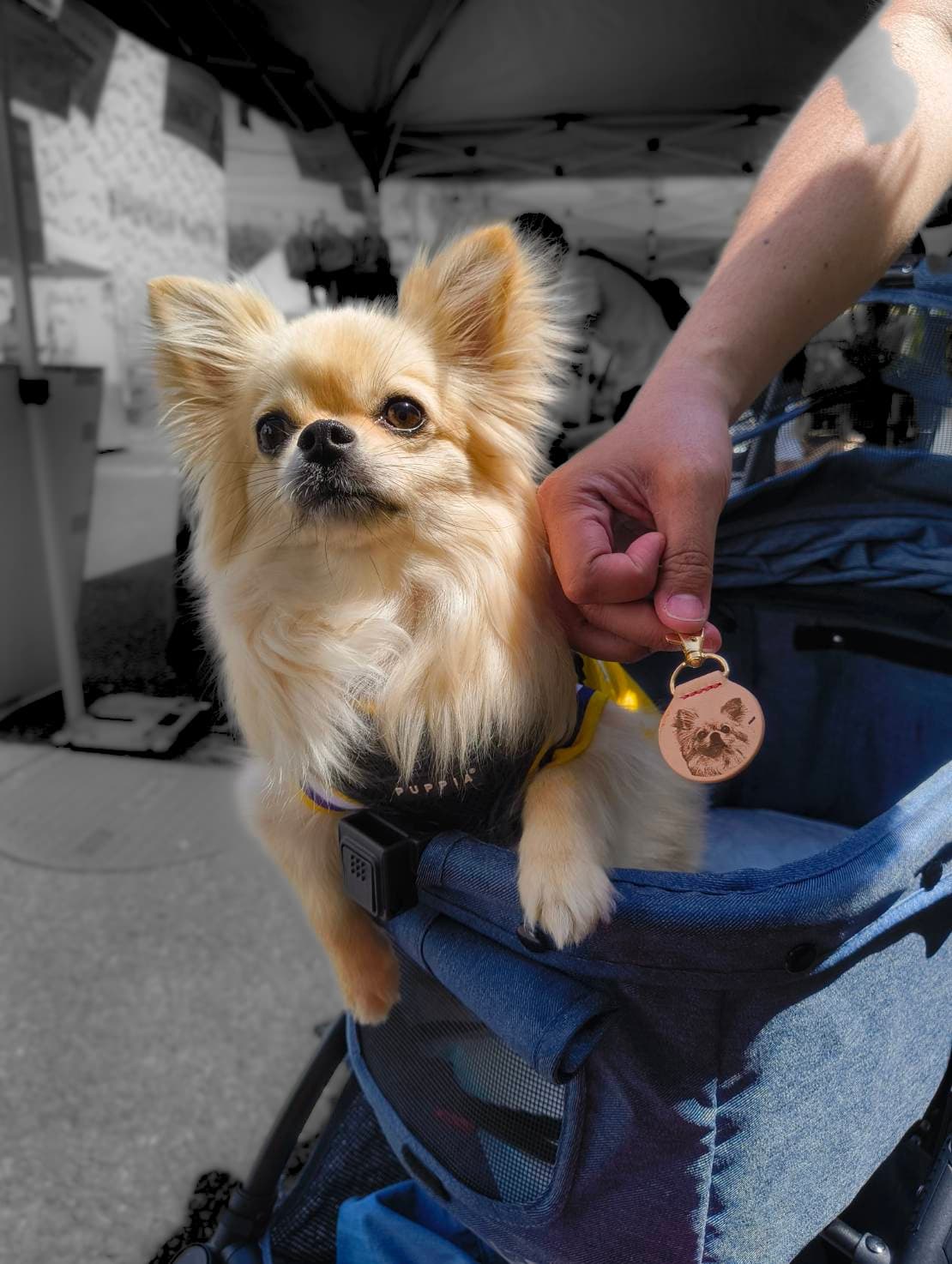 愛犬の写真を刻印したレザーキーホルダーと愛犬